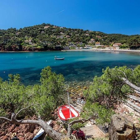 Appartement "Le Fabregas" 4 Pers Vue Mer La Seyne-sur-Mer Bagian luar foto