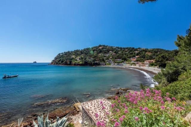 Appartement "Le Fabregas" 4 Pers Vue Mer La Seyne-sur-Mer Bagian luar foto